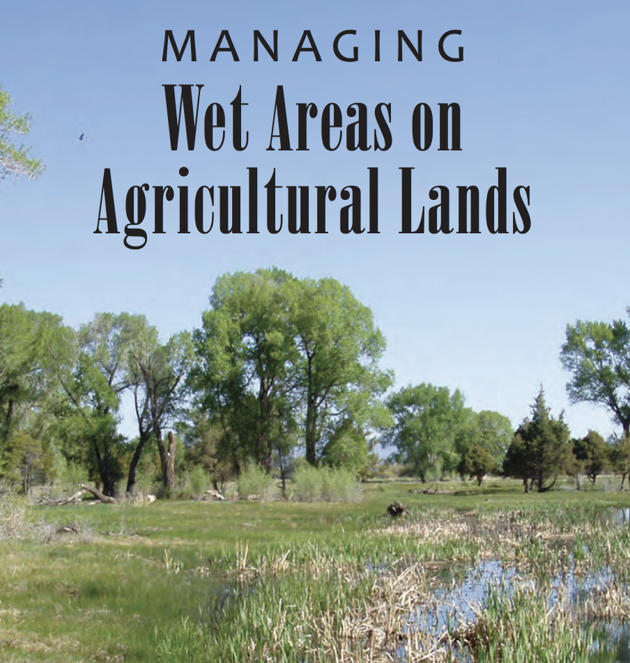 handbook cover